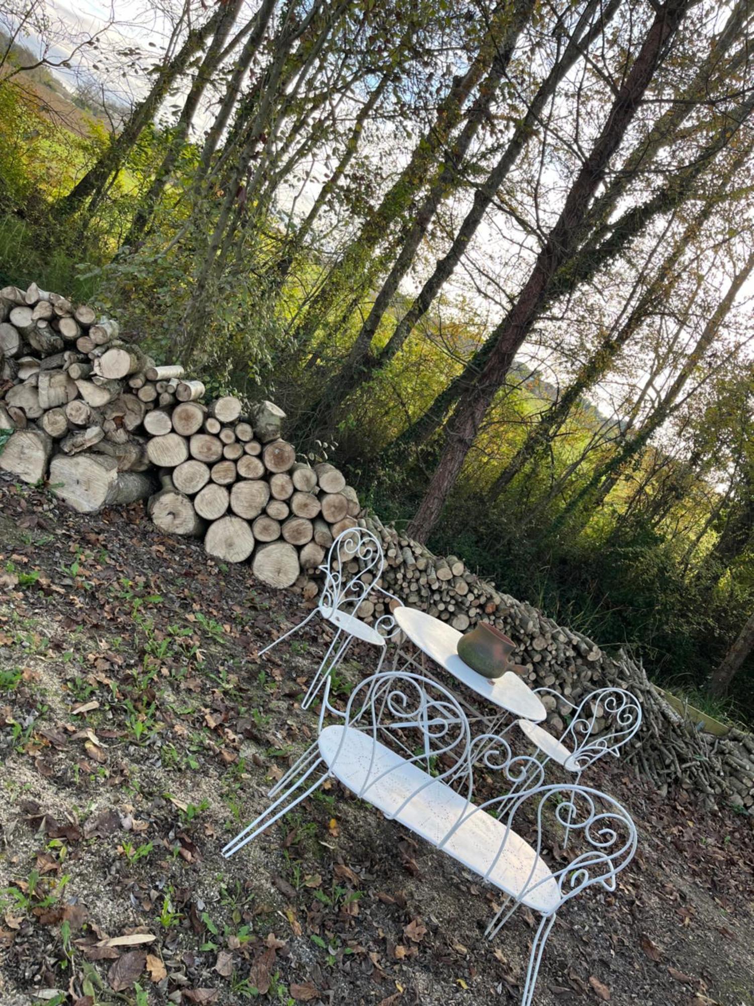 Chez Mamie Villa LʼIsle-Jourdain Exteriör bild